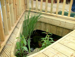 Deckings Designs